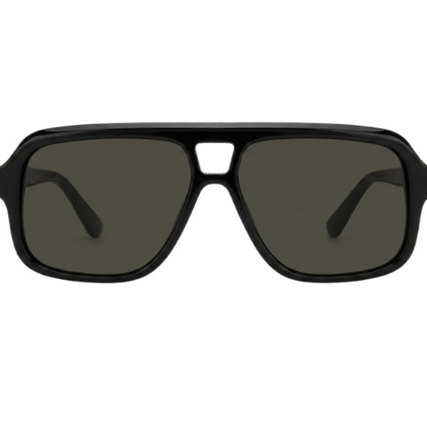 Matte Black Wayfarer Sunglasses