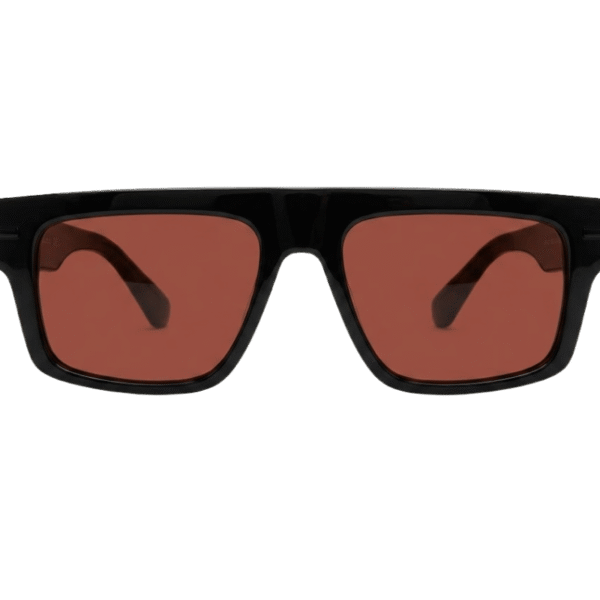 Black Frame Brown Lens Sunglasses