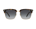 Classic Browline Gradient Sunglasses